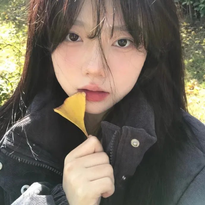 记账人第二季